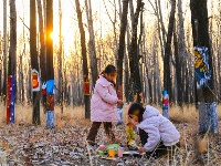 镜头 | 小寒雪盛 静待春归