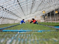 镜头｜大美二月