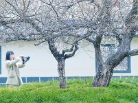 镜头 | 春光做序 万物和鸣