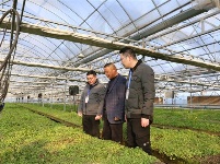 镜头 | 学思践悟 挺膺担当