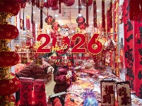 镜头｜欢乐喜庆中国年