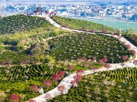 镜头｜大美二月