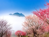 镜头 | 春光做序 万物和鸣