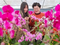 镜头 | 春光做序 万物和鸣