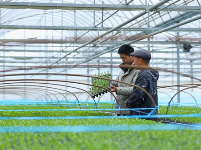 镜头｜大美二月