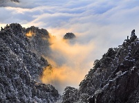 镜头 | 春光做序 万物和鸣