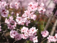 镜头｜春和景明 时序春分