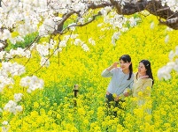 镜头｜大美三月