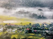 镜头｜大美三月