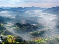 镜头｜春和景明 时序春分