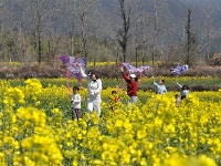 镜头｜春和景明 时序春分