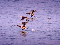 镜头｜春雷始鸣 万物惊蛰
