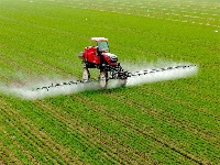 镜头｜春雷始鸣 万物惊蛰