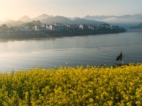 镜头｜大美三月