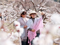 镜头｜春和景明 时序春分