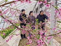 镜头｜致敬了不起的“她”