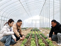 鏡頭｜深入一線 扎根人民