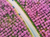 镜头｜大美三月