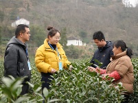 镜头｜致敬了不起的“她”