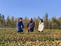 鏡頭｜深入一線 扎根人民