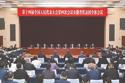 安徽代表团举行全体会议 审议政府工作报告