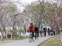 镜头｜大美三月