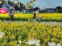 镜头｜春和景明 时序春分