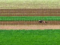 镜头｜春雷始鸣 万物惊蛰