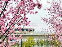 镜头｜春和景明 时序春分