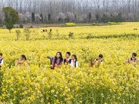 镜头｜大美三月