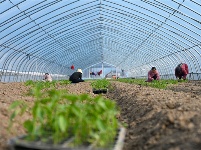 镜头｜春和景明 时序春分