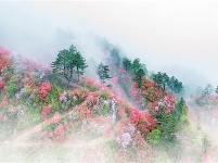 镜头｜雨生百谷 万物逢时