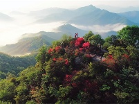 镜头｜大美四月