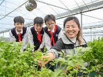 镜头｜雨生百谷 万物逢时