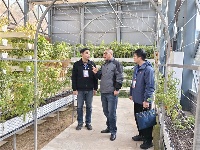 鏡頭｜推動解決群眾急難愁盼問題