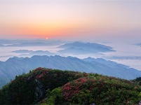 镜头｜大美四月
