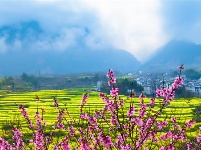 镜头｜清明时节雨纷纷