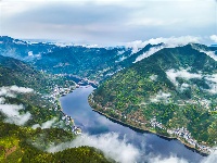 镜头｜雨生百谷 万物逢时