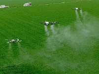 镜头｜雨生百谷 万物逢时