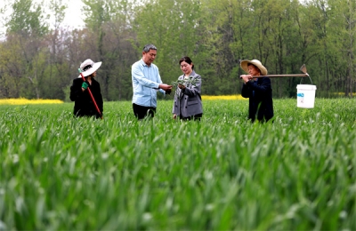 镜头｜雨生百谷 万物逢时
