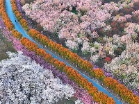 镜头｜清明时节雨纷纷
