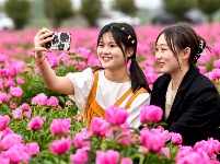 镜头｜大美四月
