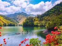镜头｜大美四月