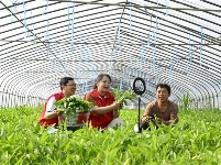 镜头｜为乡村振兴注入新动能