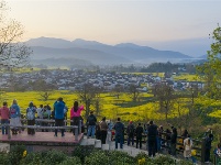 镜头｜清明时节雨纷纷