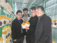 镜头｜为乡村振兴注入新动能