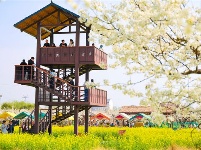 镜头｜清明时节雨纷纷