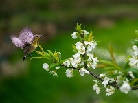 镜头｜雨生百谷 万物逢时