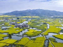 镜头｜清明时节雨纷纷