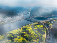 镜头｜雨生百谷 万物逢时